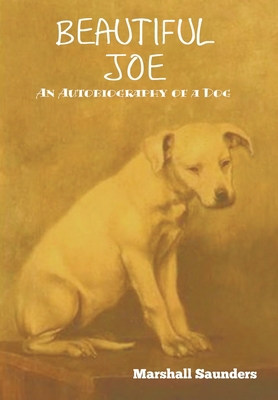 Beautiful Joe 1644394219 Book Cover