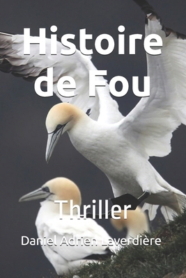 Histoire de Fou: Thriller [French] B0D2KQDSCW Book Cover