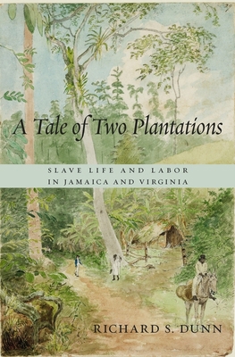A Tale of Two Plantations: Slave Life and Labor... 0674735366 Book Cover