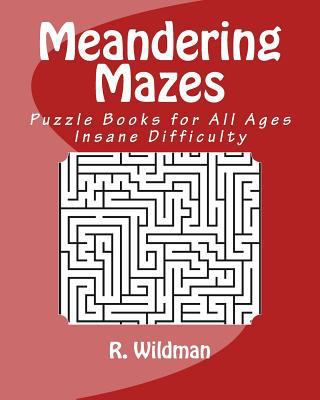 Meandering Mazes: Puzzle Books for All Ages - I... 1983469297 Book Cover