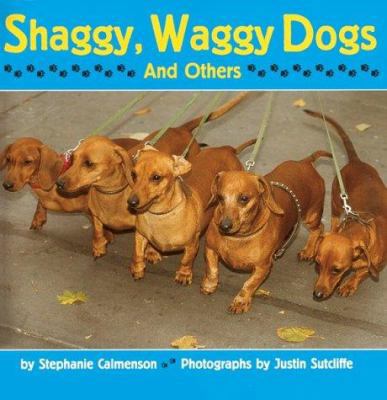 Shaggy, Waggy Dogs: And Others 0618194665 Book Cover