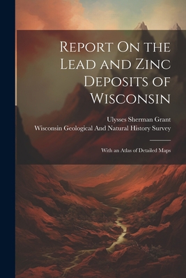 Report On the Lead and Zinc Deposits of Wiscons... 1021716081 Book Cover