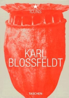 Karl Blossfeldt (TASCHEN Icons Series) 382285509X Book Cover
