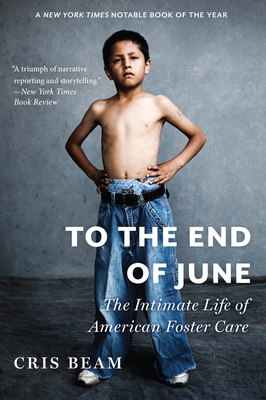 To the End of June: The Intimate Life of Americ... 0544103440 Book Cover