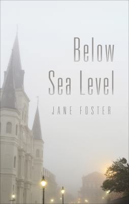 Below Sea Level 1627462414 Book Cover