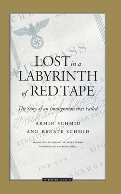 Lost in a Labyrinth of Red Tape: The Story of a... 0810111705 Book Cover