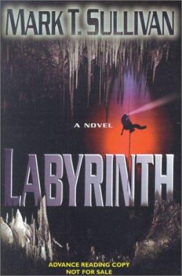 Labyrinth: A Novel 0743439805 Book Cover
