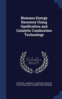 Biomass Energy Recovery Using Gasification and ... 1340082942 Book Cover