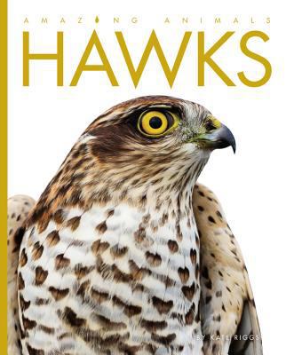 Amazing Animals Hawks 1608184900 Book Cover