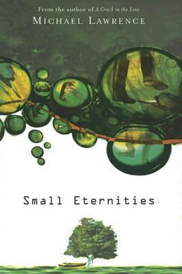 Small Eternities 0060724811 Book Cover