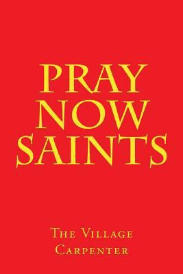 Pray Now Saints 1442122048 Book Cover