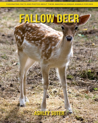 Fallow Deer: Fascinating Facts and Photos about These Amazing & Unique Animals for Kids