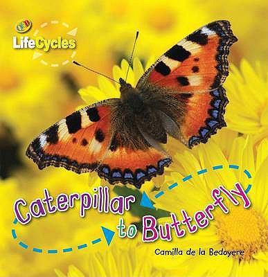 Caterpillar to Butterfly. Camilla de La Bdoyre 1848352239 Book Cover