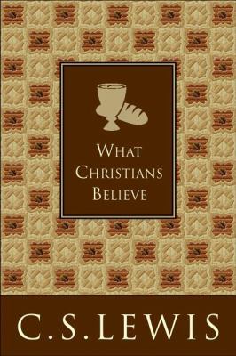 What Christians Believe 0060761539 Book Cover