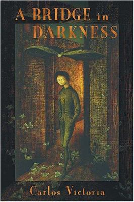 A Bridge in Darkness 0971436649 Book Cover