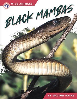 Black Mambas B0DVJF2N7B Book Cover
