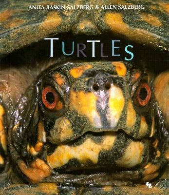 Turtles 0531202208 Book Cover