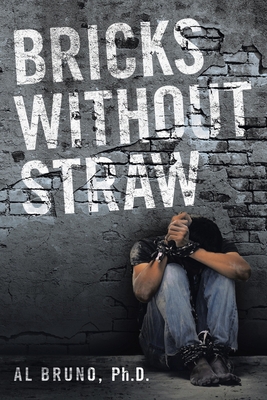 Bricks Without Straw 1664218769 Book Cover