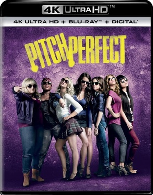 Pitch Perfect            Book Cover