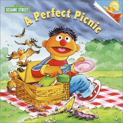 A Perfect Picnic: Sesame Street 0375814558 Book Cover