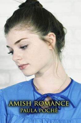 Paperback Amish Romance Book