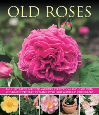 Old Roses: An Illustrated Guide to Varieties, C... 178019241X Book Cover