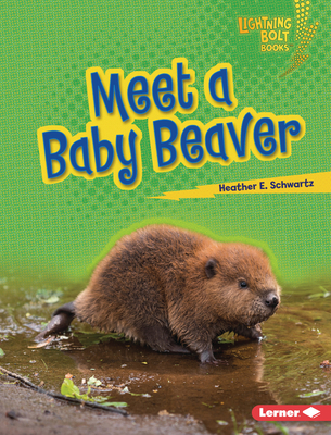 Meet a Baby Beaver 1728491061 Book Cover