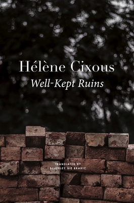 Well-Kept Ruins 1803090596 Book Cover