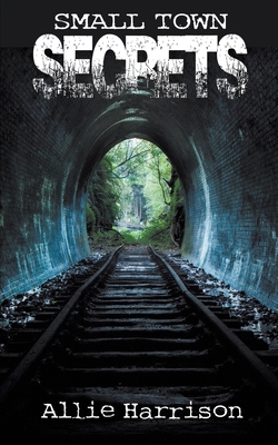 Small Town Secrets 150922212X Book Cover