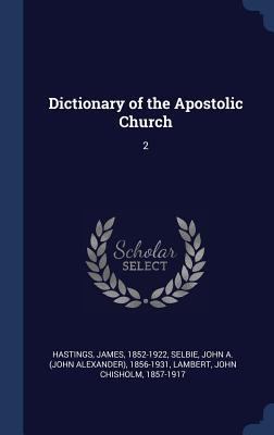 Dictionary of the Apostolic Church: 2 1340293501 Book Cover