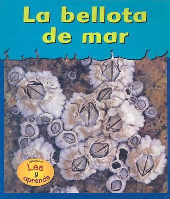 La Bellota de Mar = Barnacles [Spanish] 1588108155 Book Cover