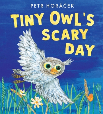 Walker Books Ltd Tiny Owls Scary Day. 1529509270 Book Cover