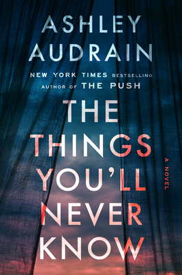 The Things You'll Never Know B0GWX2ZXJ9 Book Cover