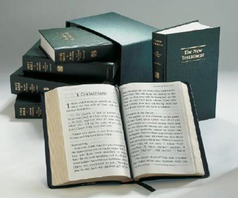 Giant Print New Testament-NIV [Large Print] 0521509300 Book Cover