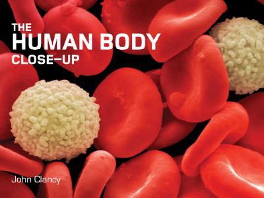Human Body Close-Up