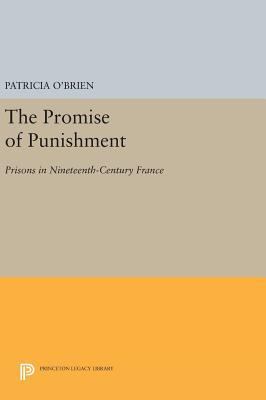 The Promise of Punishment: Prisons in Nineteent... 0691642141 Book Cover