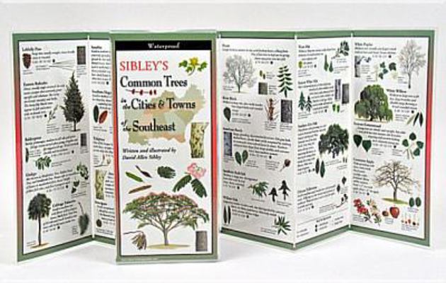 Sibley's Trees of Cities and Towns of the South... 1935380516 Book Cover