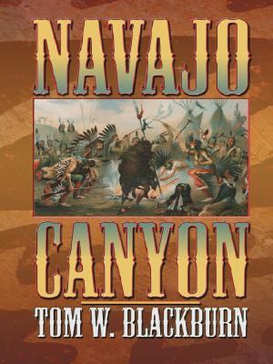 Navajo Canyon [Large Print] 0786264624 Book Cover