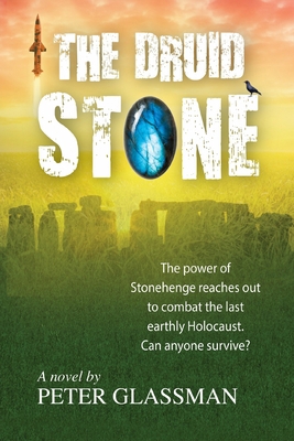 The Druid Stone 1493508105 Book Cover