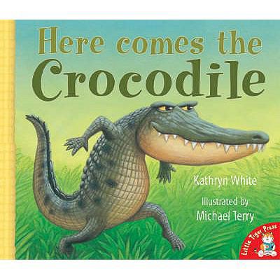 Here Comes the Crocodile 185430979X Book Cover