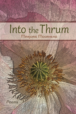 Into the Thrum 1956285865 Book Cover