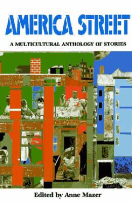 America Street: A Multicultural Anthology of St... 0892551917 Book Cover