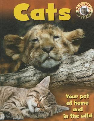 Cats 1599206986 Book Cover