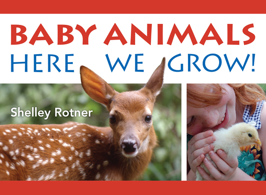 Baby Animals!: Here We Grow 0823456838 Book Cover