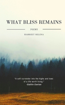 What Bliss Remains B0CYCP5GG4 Book Cover