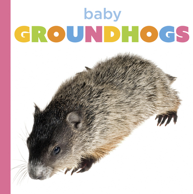 Baby Groundhogs Book Cover