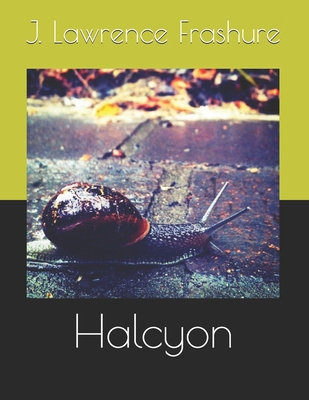 Halcyon B0GGLG7NT7 Book Cover