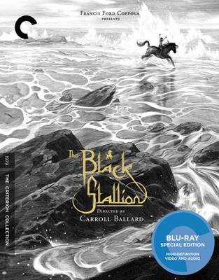 The Black Stallion            Book Cover