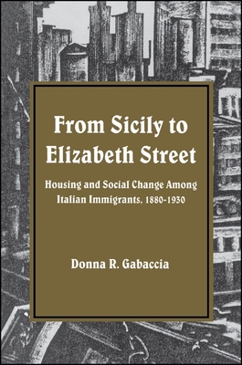 From Sicily to Elizabeth Street: Housing and So... 0873957695 Book Cover