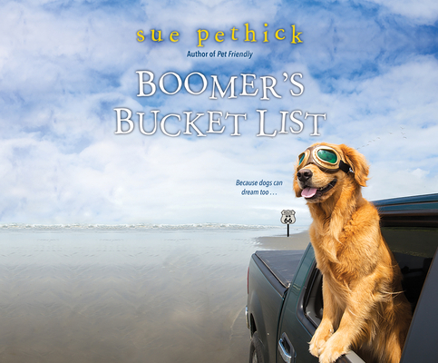 Boomer's Bucket List 1520045344 Book Cover
